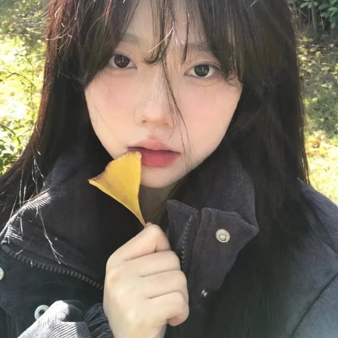 王国第二季